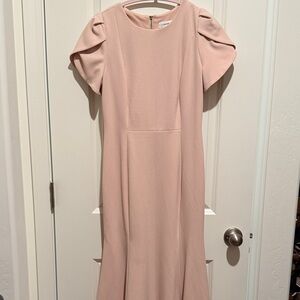 Calvin Klein Blush Midi Dress